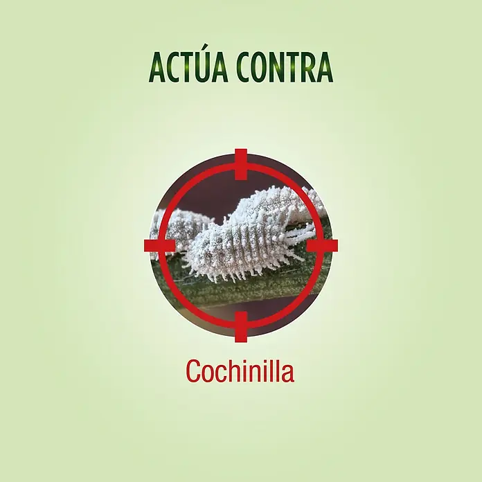 Antiorugas biológico anti-cochinilla Sanium - 800 ml - La imagen muestra un primer plano de cochinillas, rodeadas por una mira telescópica roja, con el texto "Actúa Contra Cochinilla".