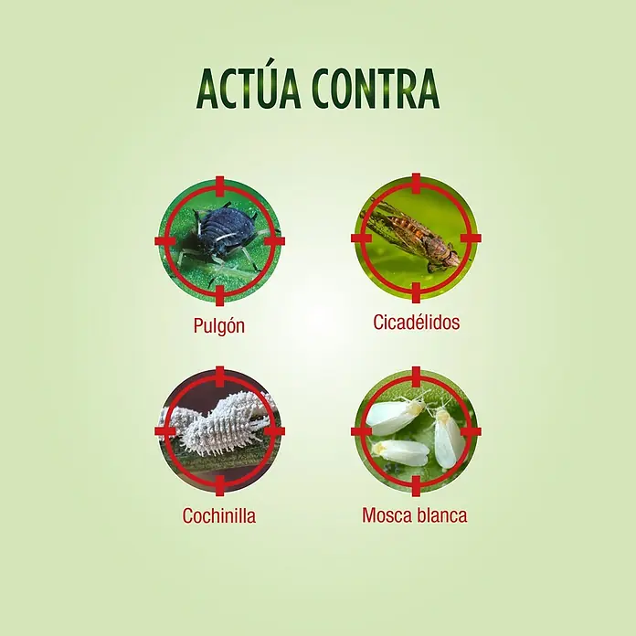 Antiorugas biológico universal Sanium - 800 ml - Este producto actúa contra pulgón, cicadélidos, cochinilla y mosca blanca. Es un medio eficaz para el control de plagas en el jardín.