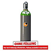 Westfalen Tycon-Flasche ohne Füllung* (Fassungsvermögen: 20 l) | BAUHAUS