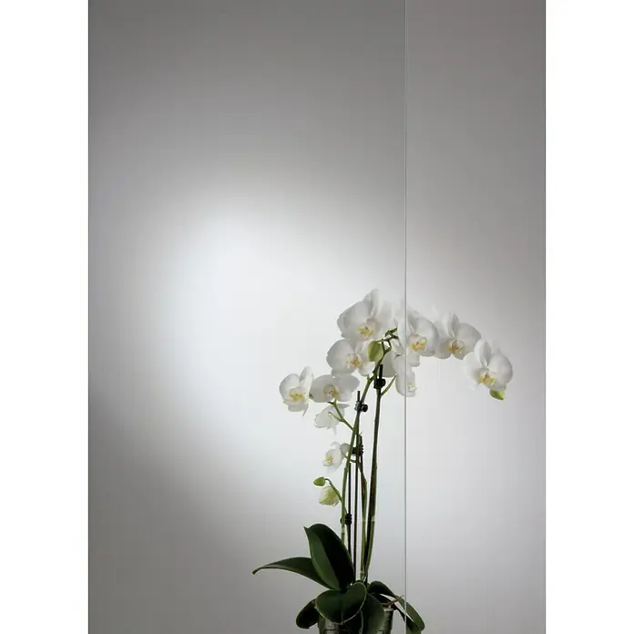 GetaDoor Laminit Zimmertür GL 223 LA-1 - 735 x 1.985 mm, DIN Anschlag: Links, Weiß seidenmatt, Röhrenspan, Klarglas - Elegante Orchidee mit weißen Blüten, die durch eine Glasscheibe hindurch fotografiert wurde, wodurch ein faszinierender Spiegeleffekt entsteht.