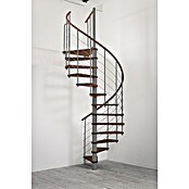 Minka Spindeltreppe Venezia (Durchmesser: 120 cm, Silber, Farbe Stufen: Buche Walnuss gebeizt, Geschosshöhe: Max. 309 cm)