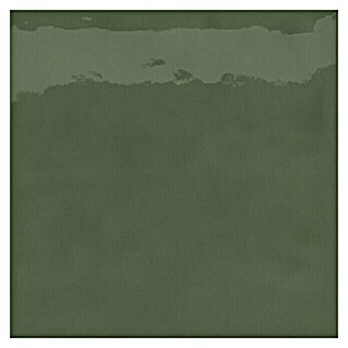 Decocer by Cinca Wandtegel Splash element green leaves (15 x 15 cm, Groen)