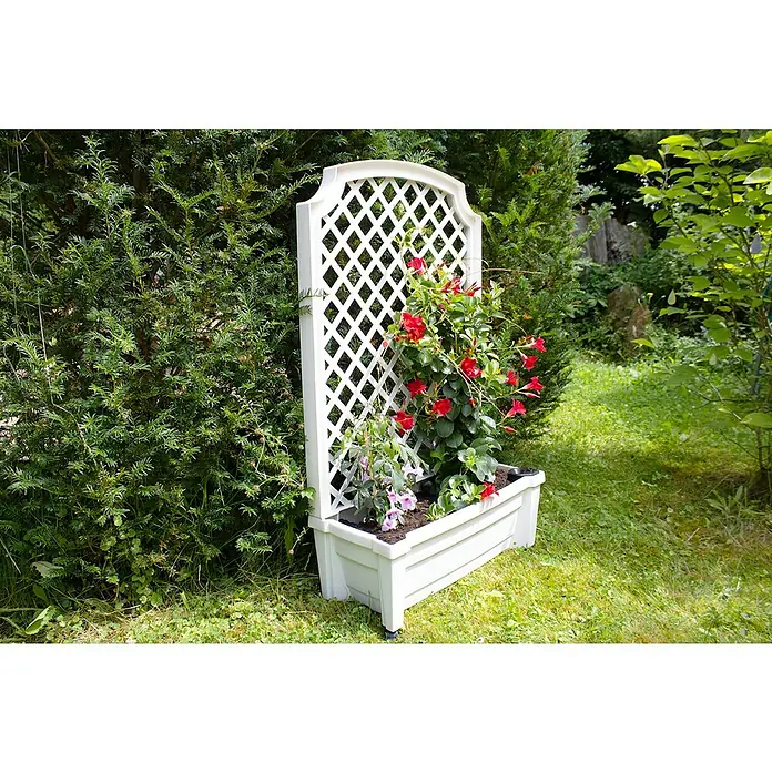 KHW Pflanzkasten Calypso - Außenmaß (L x B x H): 79 x 35 x 134 cm, Kunststoff, Weiß, Mit Rankgitter - Ein weißer Pflanzkasten mit Rankgitter im Garten, bepflanzt mit blühenden Pflanzen. Das Rankgitter bietet Kletterpflanzen eine ideale Stütze.
