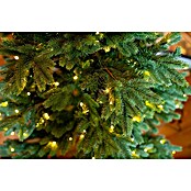 Künstlicher Weihnachtsbaum Roswell (Höhe: 150 cm, Grün, LED-Beleuchtung) | BAUHAUS