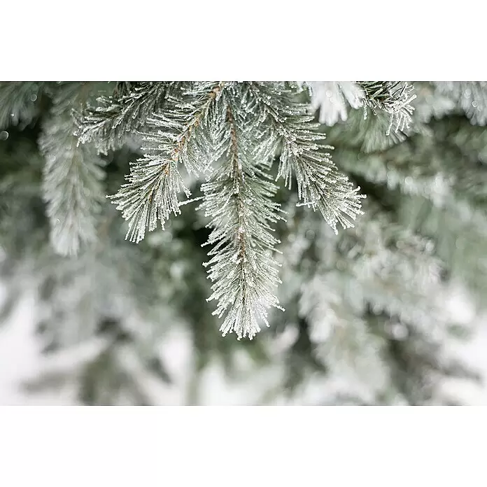 knstliche kokosnuss BIO Kokosnuss Sticks fr Deinen Hund & Dein Pferd