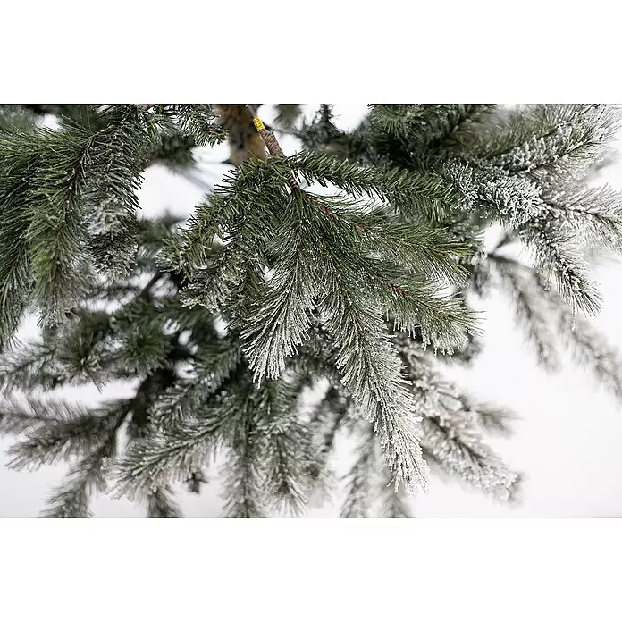 Künstlicher Weihnachtsbaum Cedar Frost - Höhe: 210 cm, Grün, Standfuß - Künstliche grüne Weihnachtsbaumzweige, stark beschneit mit weißem Frost für einen Wintereffekt.