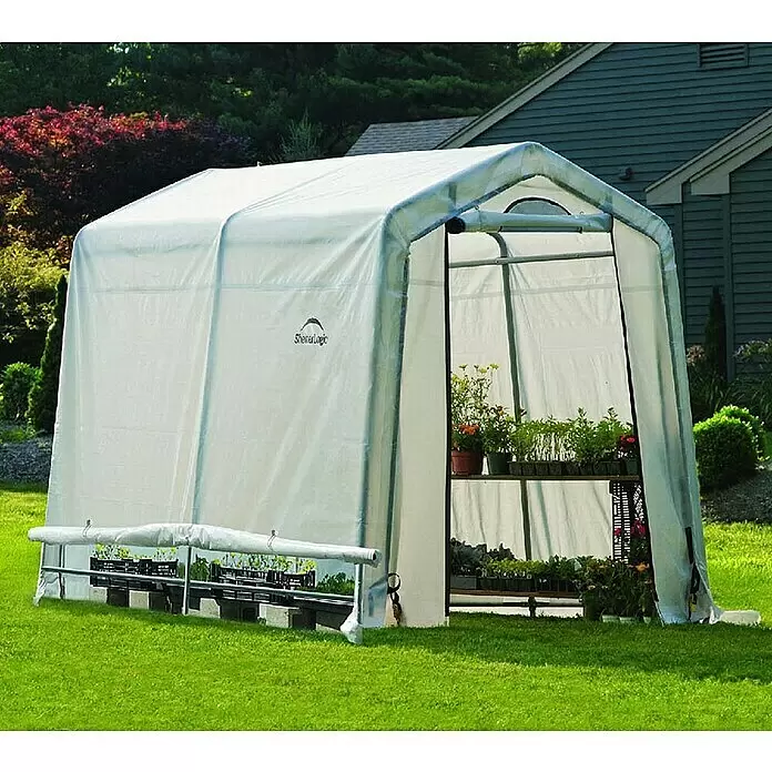ShelterLogic Gewächshaus - Außenmaß inkl. Dachüberstand (B x T): 240 x 200 cm, Material Seitenwand: Kunststoff, Weiß - Weißes, lichtdurchlässiges tragbares Gewächshaus, gefüllt mit Pflanzen auf Regalen.