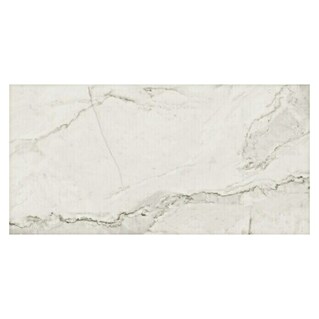 Azteca Wandfliese Calacatta Silver (L x B: 60 x 30 cm, Marmor/Silber, Glänzend)