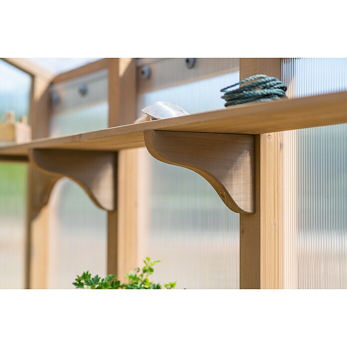 Westmann Gewächshaus Paul (Außenmaß inkl. Dachüberstand (B x T): 204 x 236 cm, Material Seitenwand: Holz, Natur) | BAUHAUS