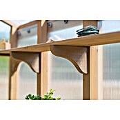 Westmann Gewächshaus Paul (Außenmaß inkl. Dachüberstand (B x T): 204 x 236 cm, Material Seitenwand: Holz, Natur) | BAUHAUS