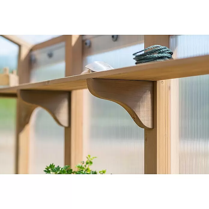 Westmann Gewächshaus Paul - Außenmaß inkl. Dachüberstand (B x T): 204 x 236 cm, Material Seitenwand: Holz, Natur - Holzregale mit Stützen in einem Gewächshaus, mit Gartenschaufel, Seil und Pflanzen.