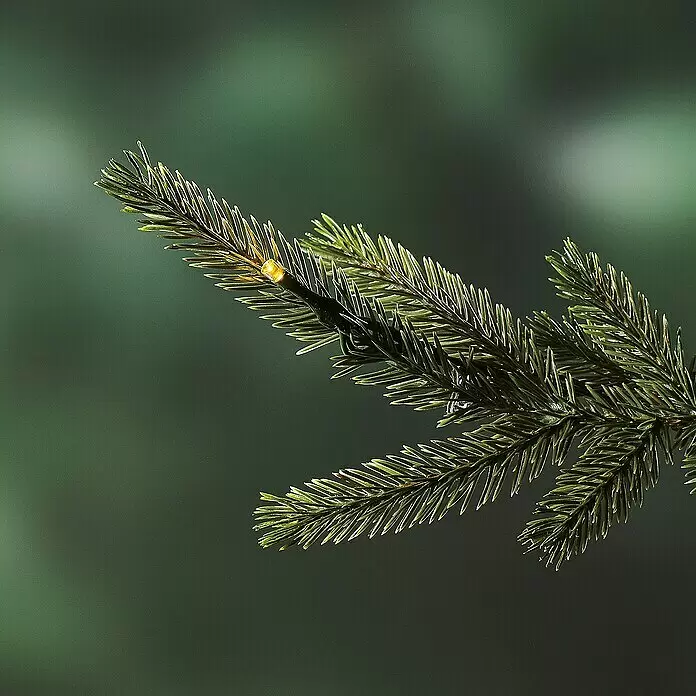 LED-Weihnachtsbaum Richmond - Höhe: 228 cm - Künstlicher grüner Tannenzweig mit eingebettetem warmweißem LED-Licht.