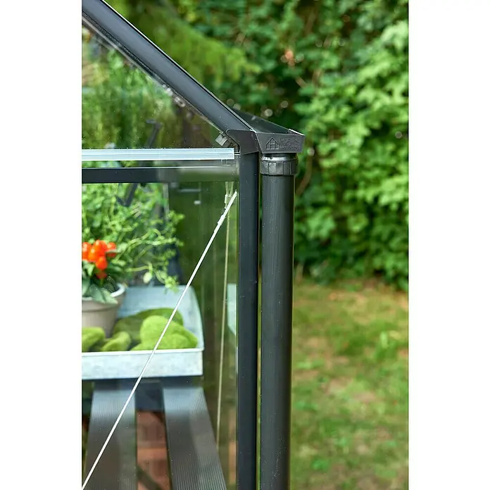 Halls Fallrohr - Länge: 130 cm, Kunststoff, Schwarz, Passend für: Halls Gewächshaus Garden Room - Nahaufnahme eines Hall's Gewächshauses mit Blick auf das Gestell, Glas und Inneneinrichtung mit Pflanzen.