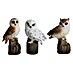 Decoratief figuur Uil op boomstronk 