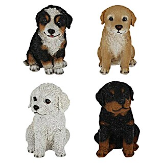 Decoratief figuur Pup (10 x 8 x 8 cm, Bruin/wit, Polyresin)