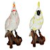 Decoratief figuur Kakatoe 