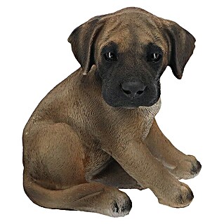 Decoratief figuur Deense dog pup (15 x 13,8 x 16,8 cm, Bruin, Polyresin)