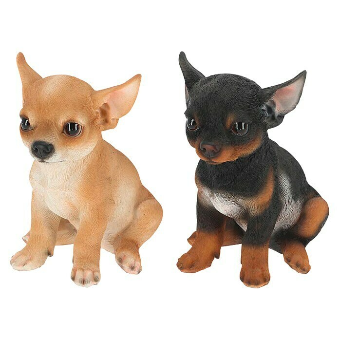 Decoratief figuur Chihuahua pup (l x b x h: 11,5 x 16 x 19,3 cm, Meerkleurig, Polyresin, 1 st.) | BAUHAUS