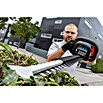 Bosch Professional AMPShare 18V Akku-Heckenschere GHE 18V-50 (18 V, Ohne Akku, Schnittlänge: 50 cm) | BAUHAUS