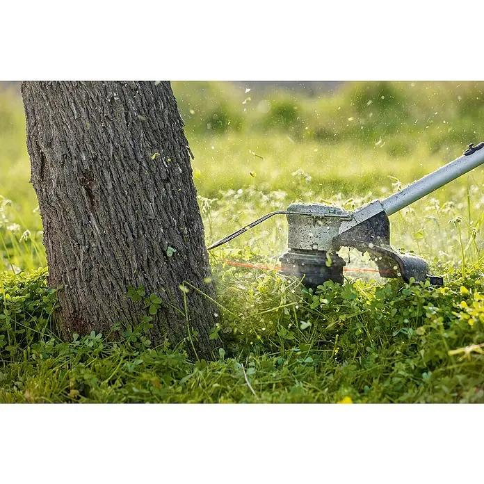 Bosch Professional AMPShare 18V Akku-Rasentrimmer GRT 18V-33 - 18 V, Ohne Akku - Rasentrimmer im Einsatz um einen Baumstamm herum. Der Trimmer schneidet Gras und kleine Pflanzen präzise.