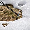 Windhager Winterschutzzelt Yukon (Luftpolsterfolie, L x B x H: 1,2 x 1,2 x 1,8 m) | BAUHAUS