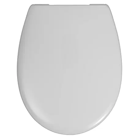 WC-Sitz Rezyklat