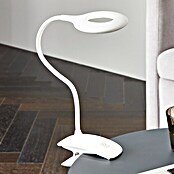 Eglo LED-Klemmleuchte Cabado (3 W, Weiß, L x B x H: 12 x 6,5 x 42 cm)