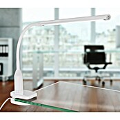 Eglo LED-Klemmleuchte Laroa (4,5 W, Weiß, L x B x H: 45 x 6,5 x 27,5 cm)