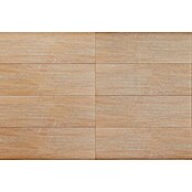 Wandfliese Spa Beige Base (30 x 90 cm, Beige, Matt) | BAUHAUS