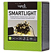 Light Creations LED-Lichterkette Smartlight (Außen, 100-flammig, Länge: 10 m)