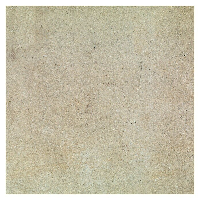 Marazzi Feinsteinzeugfliese Jerusalem (75 x 75 cm, Noce, Matt) | BAUHAUS