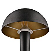 Reality Leuchten Tafellamp Canaria (Ø x h: 15 x 26,5 cm, Zwart/goud, E14) | BAUHAUS