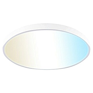 Panalight Plafón LED redondo Dion (36 W, Ø x Al: 40 cm x 24 mm, Blanco, Blanco cálido)