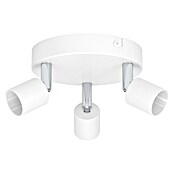Eglo Regleta redonda Stecci-E (15 W, Ø x Al: 14 x 7,5 cm, Blanco, GU10) | BAUHAUS