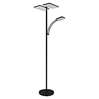 Tween Light Lámpara de suelo LED Chicago (36 W, Altura: 180 cm, Negro mate, Blanco cálido)