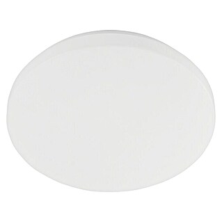 Eglo Plafón LED redondo Pogliola-E (10 W, Ø x Al: 26 x 5,5 cm, Blanco, Blanco neutro)