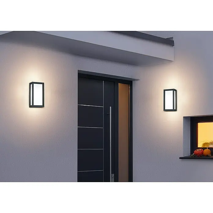 Trio Lighting Aplique de pared LED Timok - 6 W, L x An x Al: 10 x 15 x 28 cm, Negro, Blanco cálido - Una moderna lámpara de pared exterior con marco negro y panel de luz blanco, creando un ambiente luminoso y acogedor.