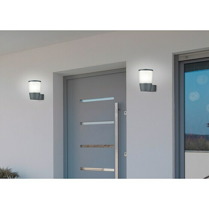Trio Leuchten Aplique exterior LED Shannon (1 luz, Potencia: 7 W, Blanco cálido, Tipo de protección: IP54)