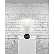 Trio Lighting Lámpara de sobremesa Luci (40 W, Negro, Altura: 23 cm)