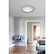 Trio Lighting Plafón LED redondo Lukida (18 W, Blanco cielo estrellado, Blanco cálido) | BAUHAUS
