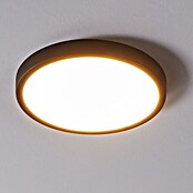 Eglo connect.z LED-Deckenleuchte FUEVA-Z rund (19,5 W, Ø x H: 285 x 28 mm, Schwarz, Rund) | BAUHAUS