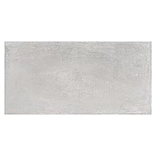 Keramische tegel (60 x 30 cm, Licht grijs, Mat)