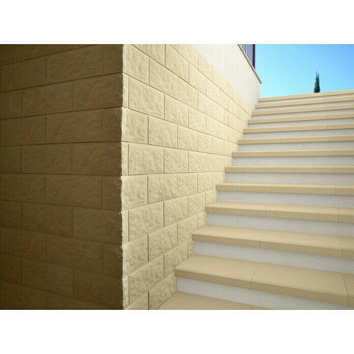 SAS Tessera Poolumrandung (50 x 35,5 x 6 cm, Beige, Beton) | BAUHAUS