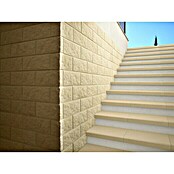 SAS Tessera Poolumrandung (50 x 35,5 x 6 cm, Beige, Beton) | BAUHAUS