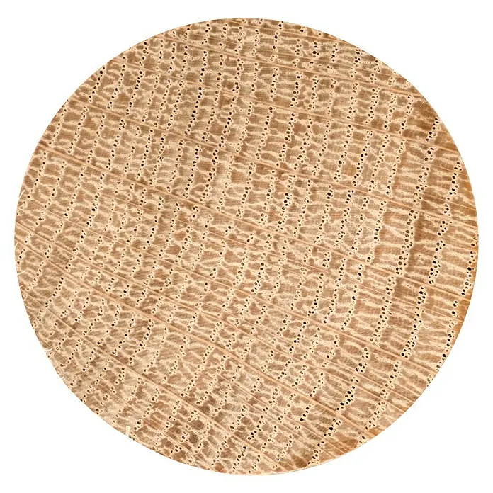 Dolle Handlauf PS 3/40 - Eiche Weiß, Geölt, Rund, Länge: 200 cm - Nahaufnahme von Eichenholz, die die markanten Poren und Maserung des Holzes hervorhebt, ideal für Möbel und Innenausbau.