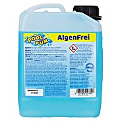 Söll AlgenFrei Algizid (2,5 l) | BAUHAUS