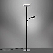 Just Light LED-Stehleuchte Hans (31,5 W, Höhe: 190 cm, Schwarz, Warmweiß) | BAUHAUS