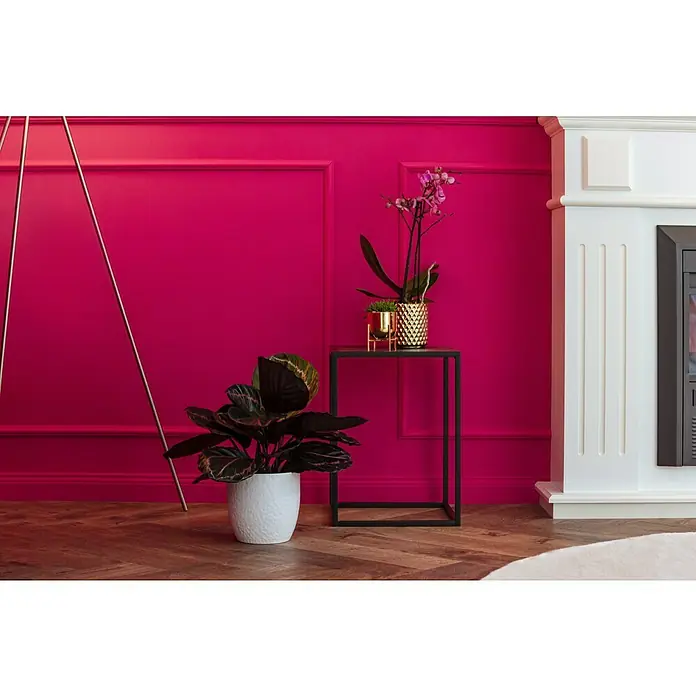 Nmc Decoflair Zierprofil Wandleiste CL2 - 2 Stk., 2 m x 13 mm x 25 mm, Hochverdichtetes extrudiertes Polymer (HDPS) - Zimmerinterieur mit einer Calathea-Pflanze in einem weißen Topf und Orchideen auf einem schwarzen Tisch vor einer fuchsiafarbenen Wand.