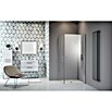 Camargue Vario Eckdusche S4+S1 (100 x 75 x 195 cm, Stärke: 6 mm, Silber)