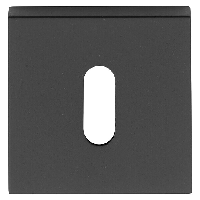 Solid Elements Rozet Sleutelrozet SE 9100 (Metaal, Zwart) | BAUHAUS